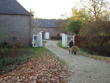 DSC00150 Rabse DSC00150 Rabse