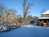 DSC00384 Winte 3 DSC00384 Winte 3