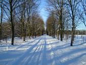 DSC00417 schnee DSC00417 schnee