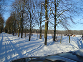 DSC00421 weg DSC00421 weg