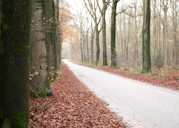 IMG_5348 umg IMG_5348 umg