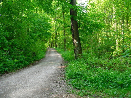 photo_10259 photo_10259