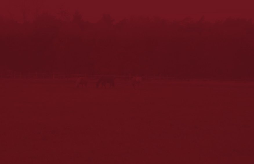 steprath_HG steprath_HG